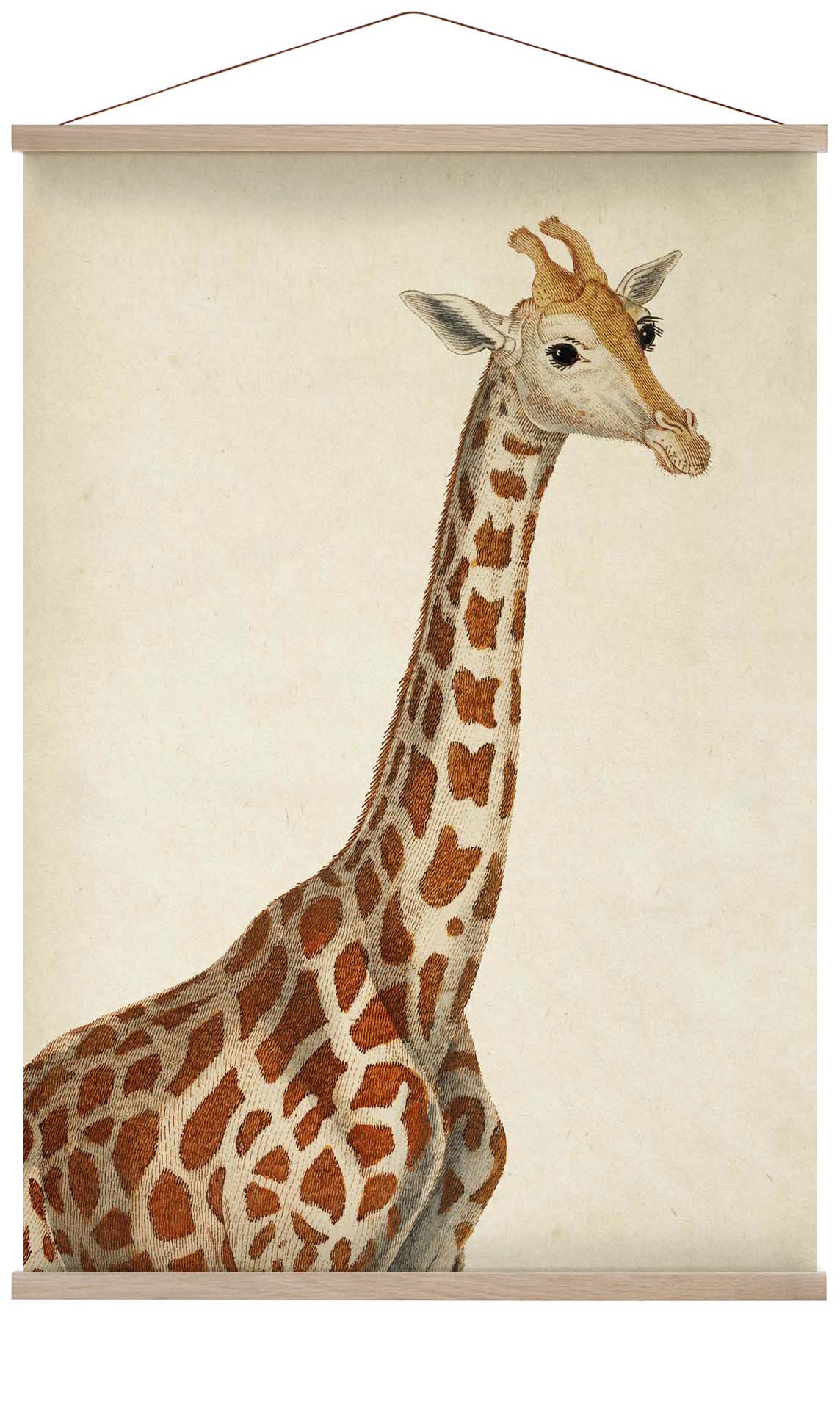 Antike Giraffe