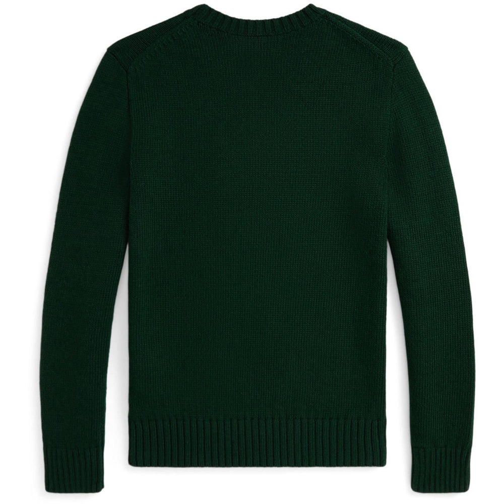 Køb Polo Ralph Lauren Moss Agate Boy Pullover