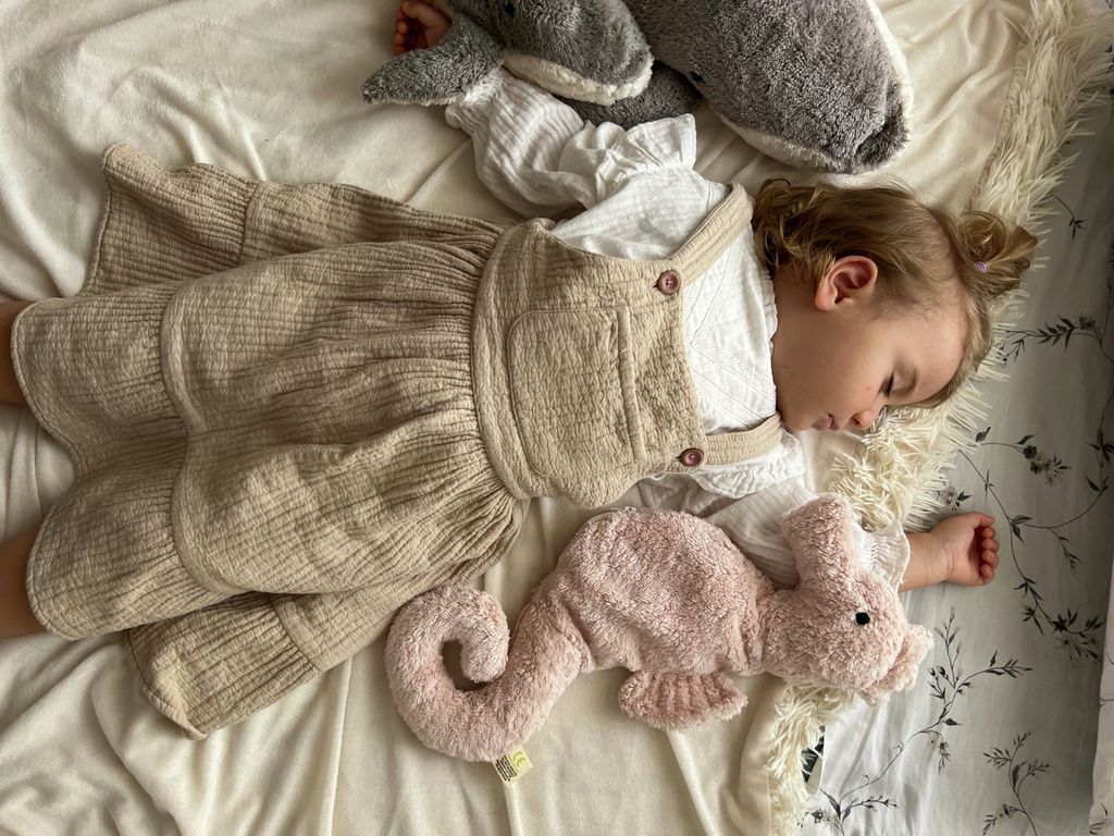 Senger Kuscheltier Seepferdchen
