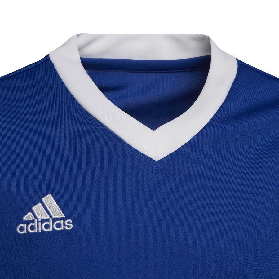 adidas T-shirt d'Entraînement Entrada 22 - Bleu/Blanc Enfant