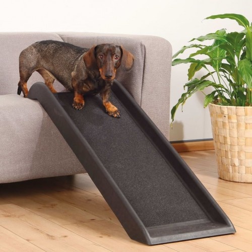 Rampa multifuncional para animais de estimação
