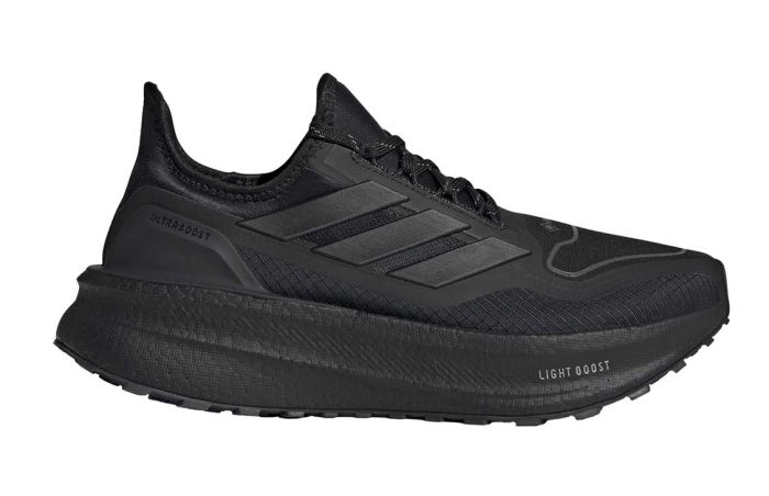 Ultraboost 5 GTX Women