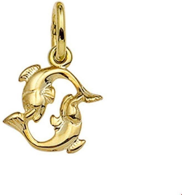hanger sterrenbeeld 14K - Geelgoud - Bedel