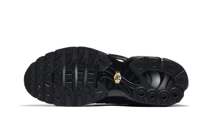 Nike Air Max Plus Triple Black - 48h Delivery