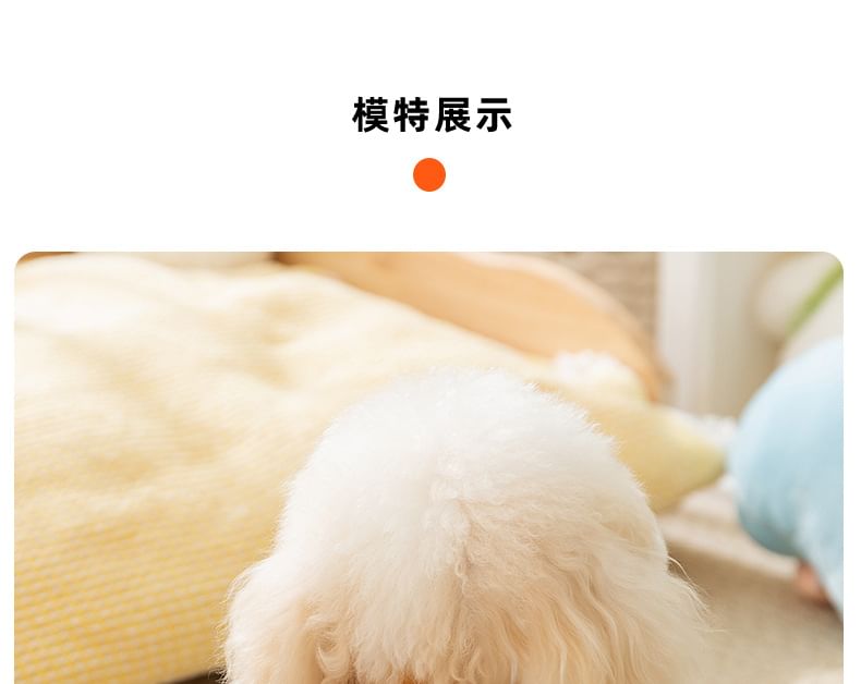 Cissilli - Bear Chenille Pet Top