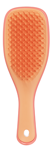 Tangle Teezer Detagling Mini Haarborstel 1ST