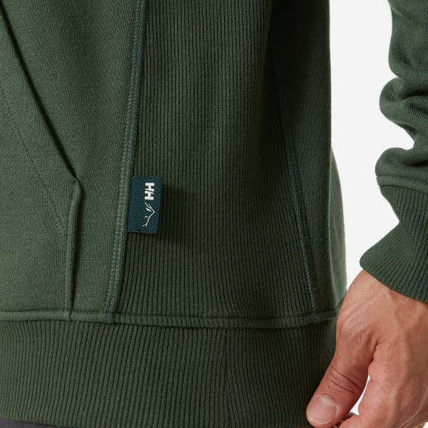 Sweatshirt HELLY HANSEN F2F ORGANIC COTTON HOODIE SPRUCE/EPICEA