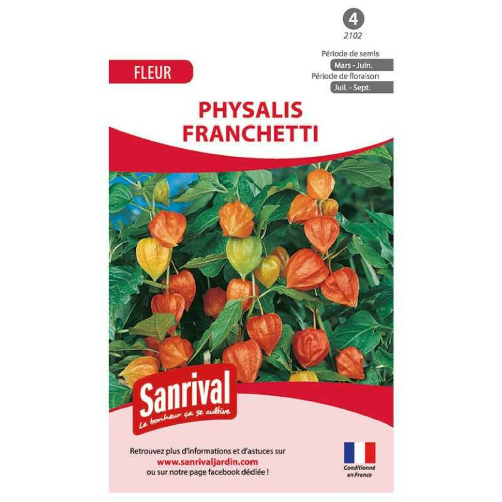 Graines lanterne chinoise
