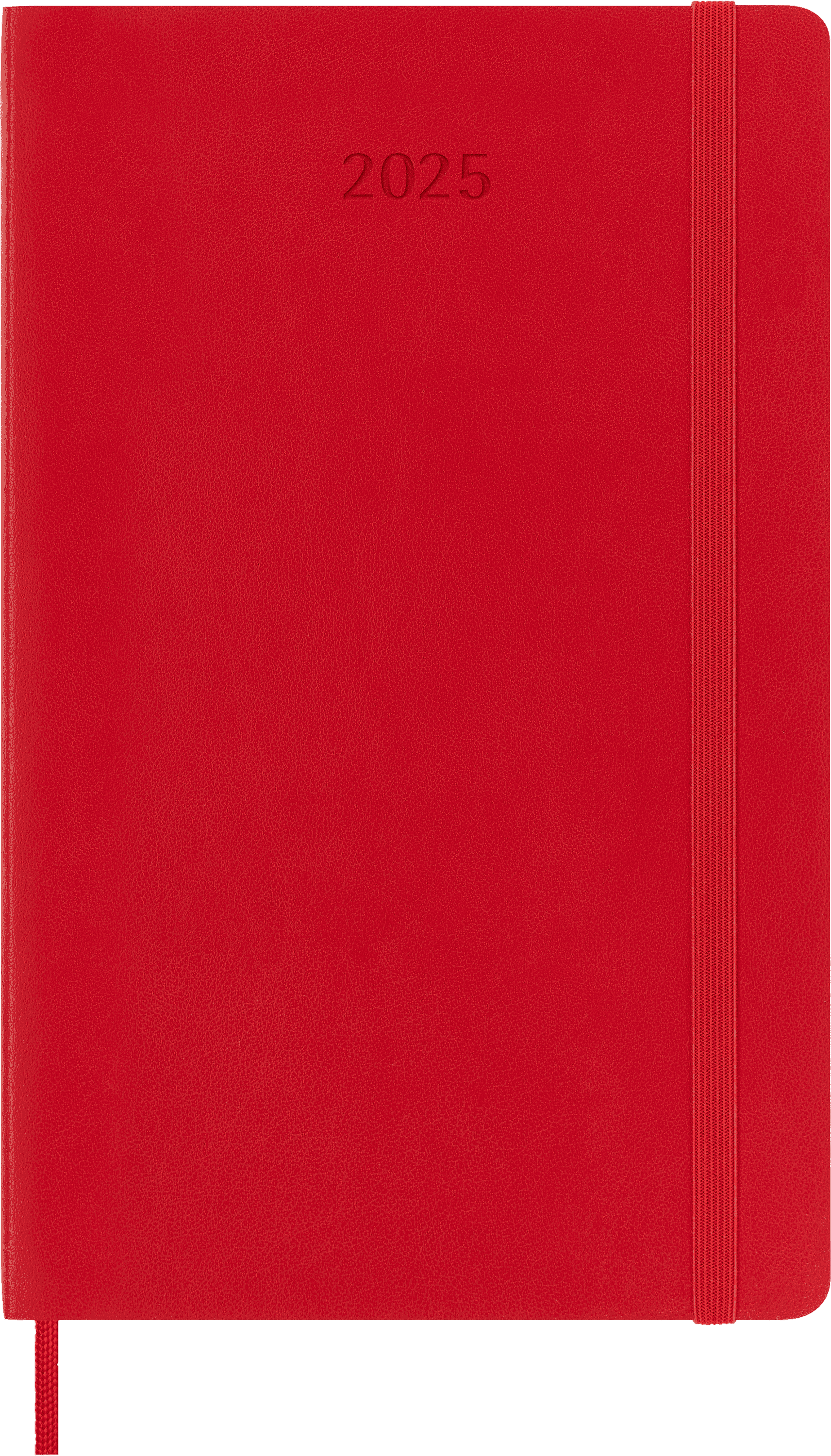 Classic Planner 2025 Large Daily, soft cover, 12 months