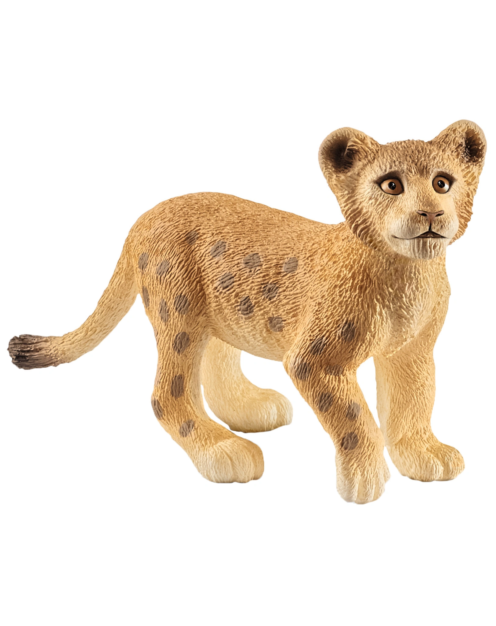 schleich® 14813 Wild Life – Löwenjunges