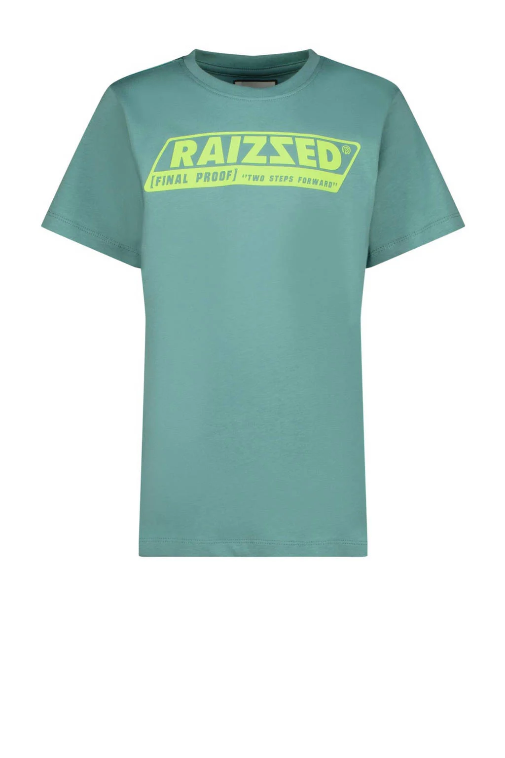Raizzed T-shirt Hamilton met logo zacht zeegroen