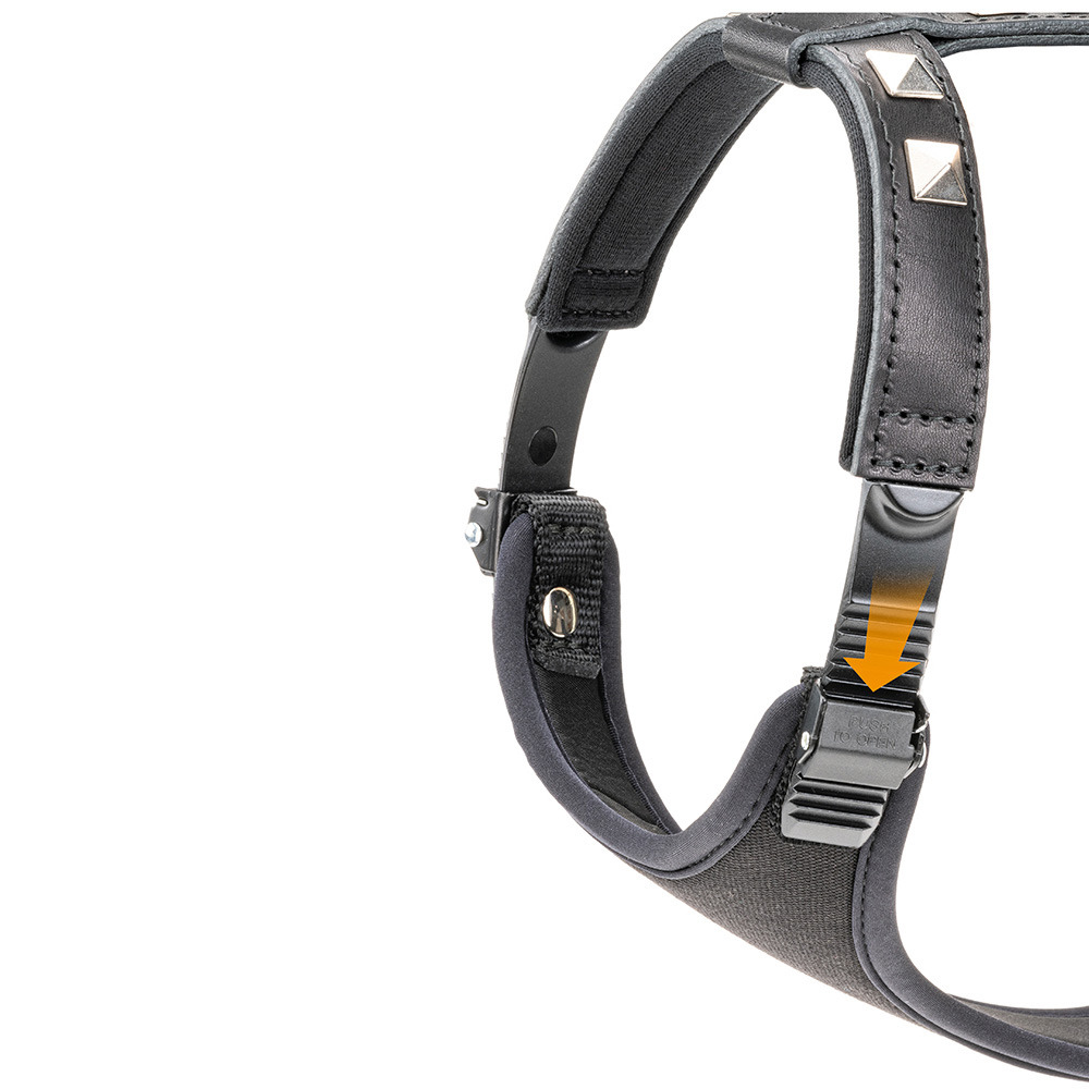 Harnais pour chiens giotto luxor medium, en cuir véritable avec clous argentés