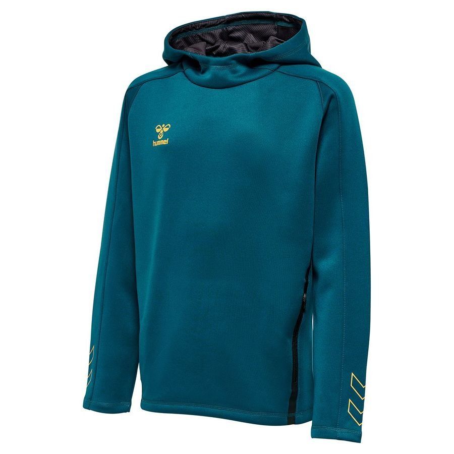 Sweat à capuche
