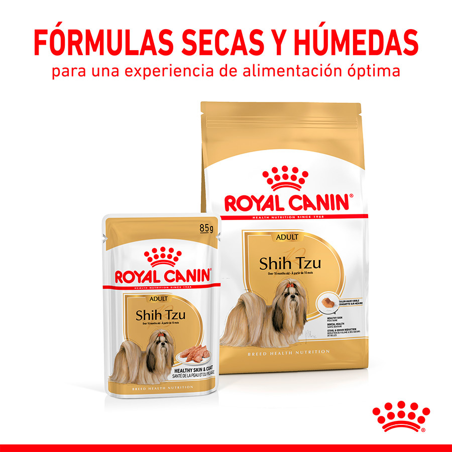 Royal Canin Adulto Shih Tzu Patê