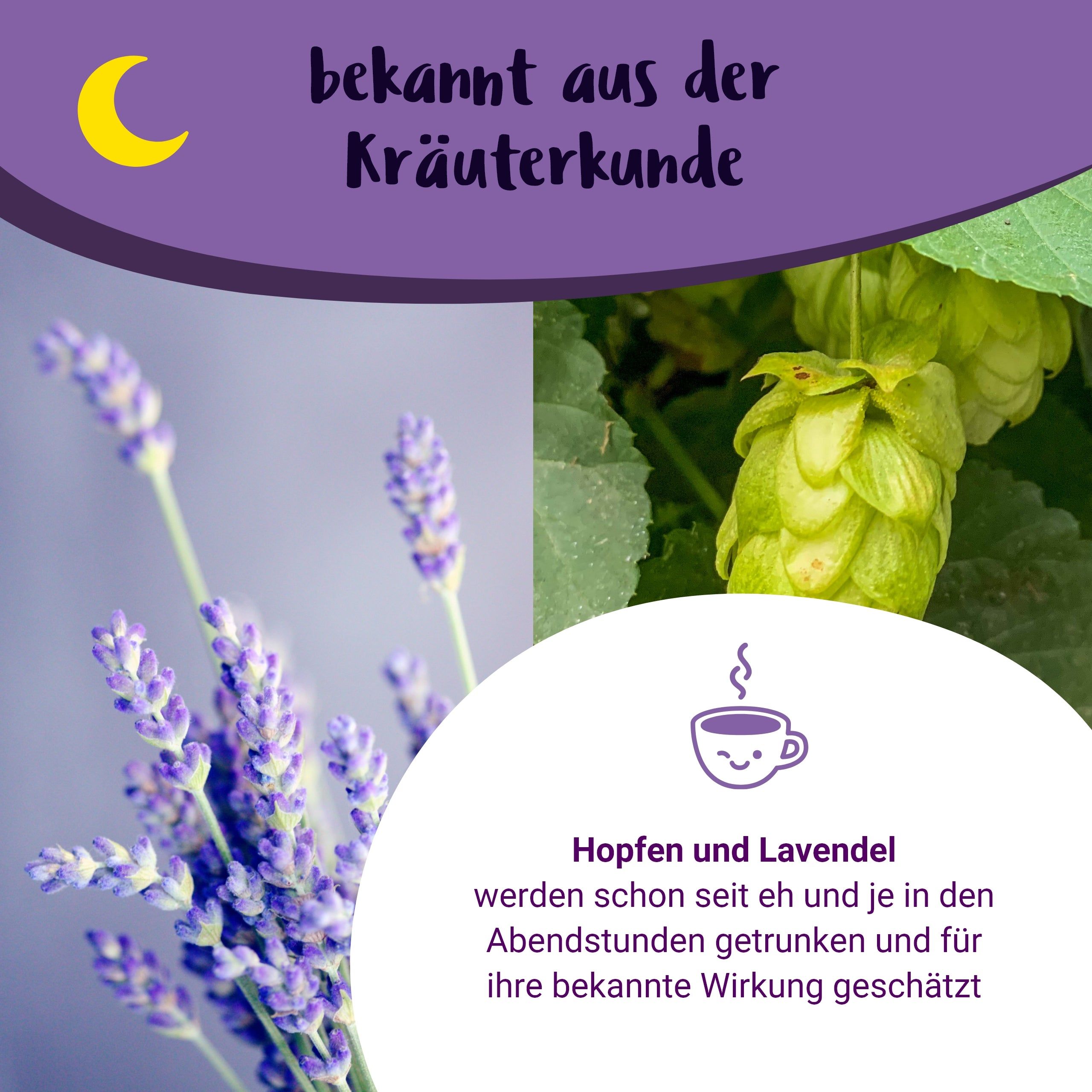 Gute Nacht Mami BIO Schwangerschaftstee mit Hopfen und Lavendel - von PregniVital®