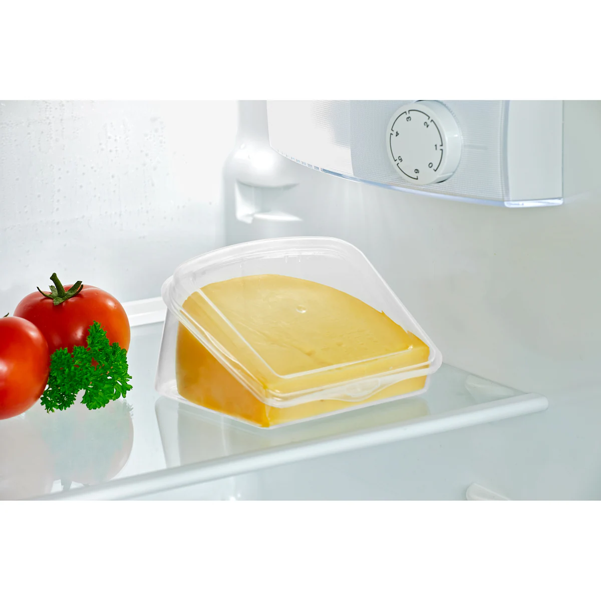 genialo - Käse-Frischebox, 2 Stück