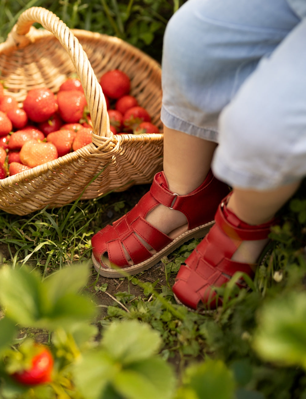 Classic Sandal - Poppy