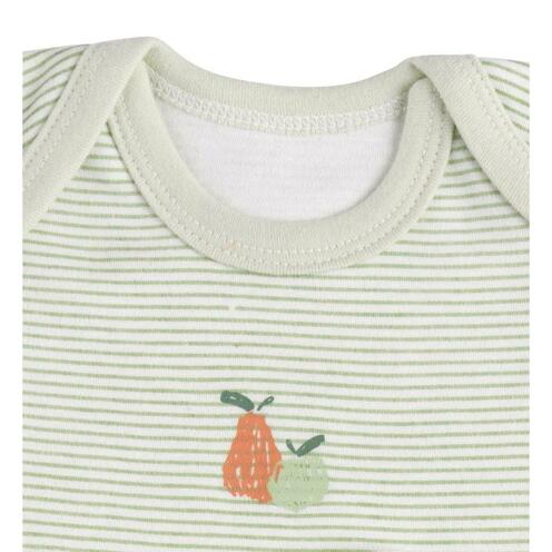 Lot de 3 bodies 6 mois manches courtes BOTANICA - SAUTHON Baby déco
