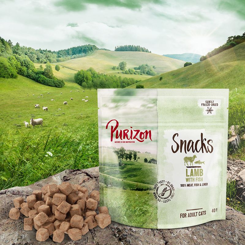 Lot découverte friandises Purizon 3 x 40 g