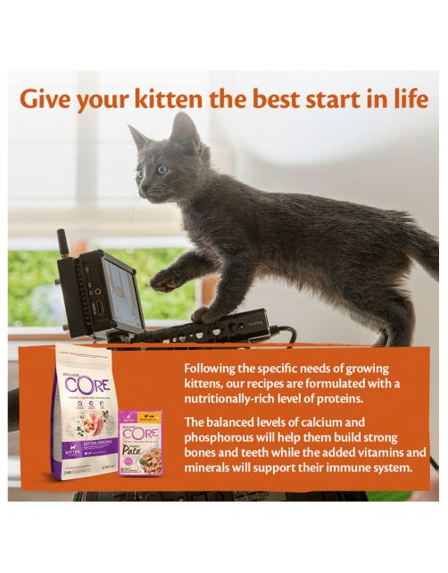 Wellness Core Purely Pate Kitten - Kattenvoer - Kip Tonijn Eend 85 g