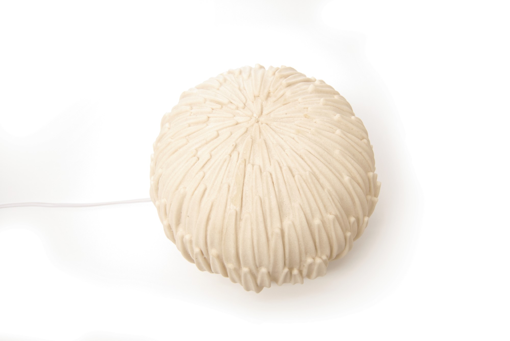 Indoor-Leuchte 'Schilfgras', B 30 cm, H 23 cm von fischer's lagerhaus