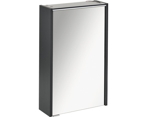FACKELMANN Denver spiegelkast, 42 x 16 x 68,5 cm, antraciet, 1-deurs, LED, IP20