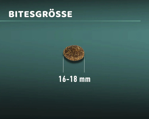 MR.BEEF Droogvoer voor volwassen honden met rundvlees, 12,5 kg. Rundvlees, non-GMO, geen toegevoegde suiker, geen kleurstoffen, geen soja. Gemaakt in Duitsland.