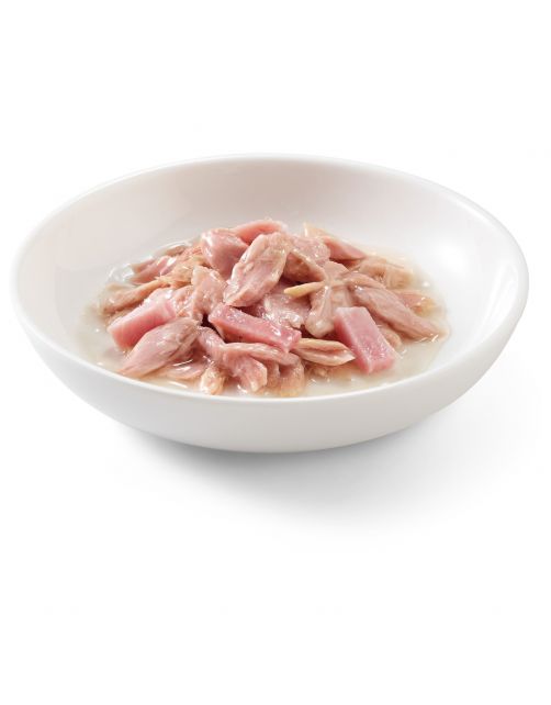 Schesir Kat Blik Gelei 140 g - Kattenvoer