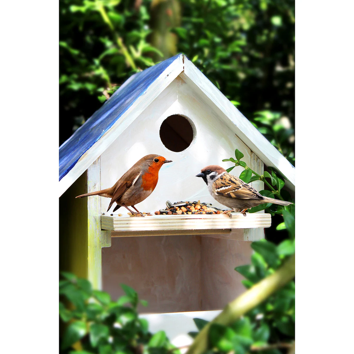 Wildvogelfutter, 1 kg