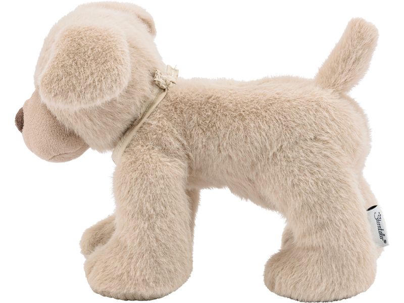 Sterntaler Kuscheltier Hund Lucky M Kuschelfigur mit Rassel