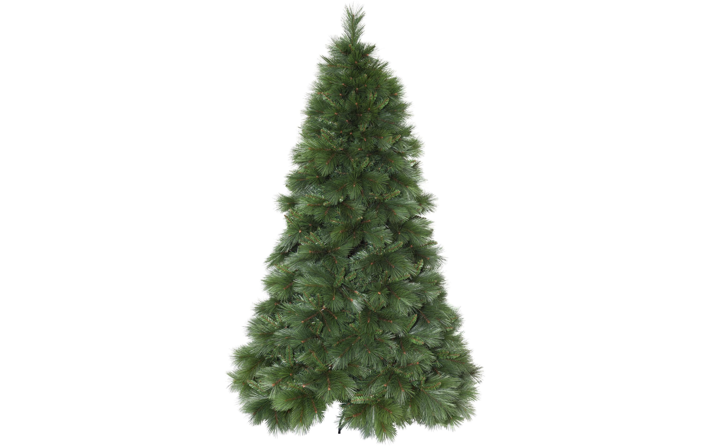 Weihnachtsbaum Cembra, 2.4 m, Grün<br>Weihnachtsbaum ohne Licht