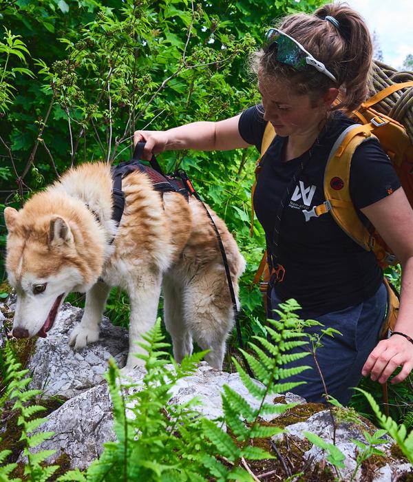 Non-stop dogwear Mehrzweck-Hundegeschirr Rock