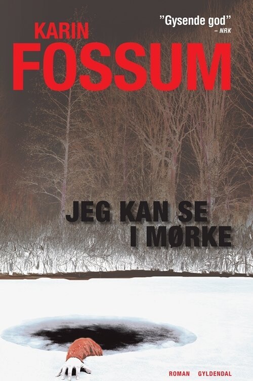 Jeg Kan Se I Mørke - Karin Fossum - Bog