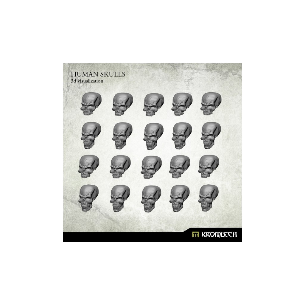 Human Skulls