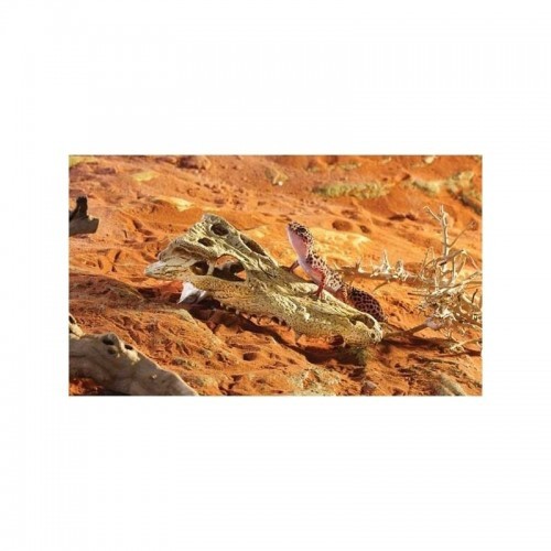 Abrigo Exo-Terra com crânio de crocodilo