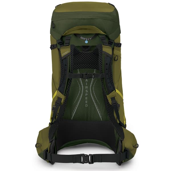 Sac à dos randonnée OSPREY ATMOS AG LT 65 SCENIC VALLEY/GREEN PEPPERCORN