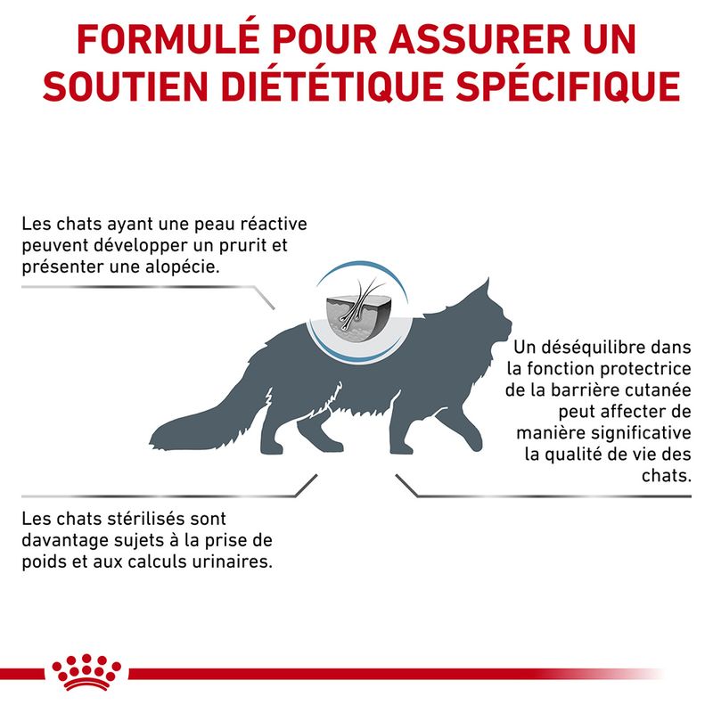 Royal Canin Veterinary Skin & Coat
