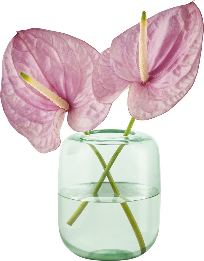 Eva Solo Acorn vase H16,5 Mint green Mint green