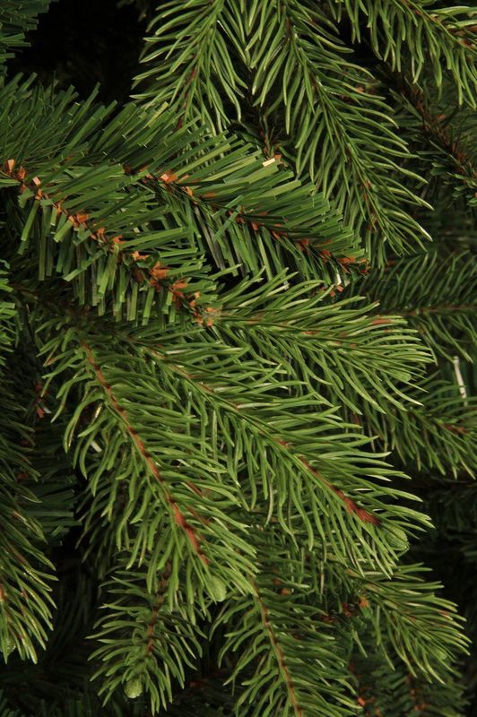 Black Box Brampton Kunstkerstboom - 185 cm - 1458 tips - PVC/PE - Groen