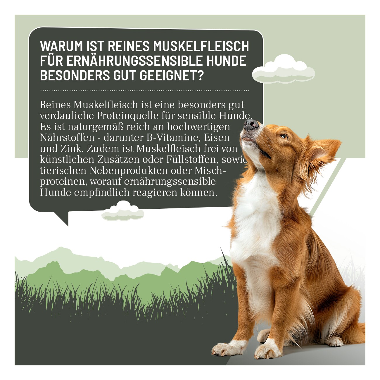 REAVET Hunde Nassfutter - Hirsch PUR 6x400 g