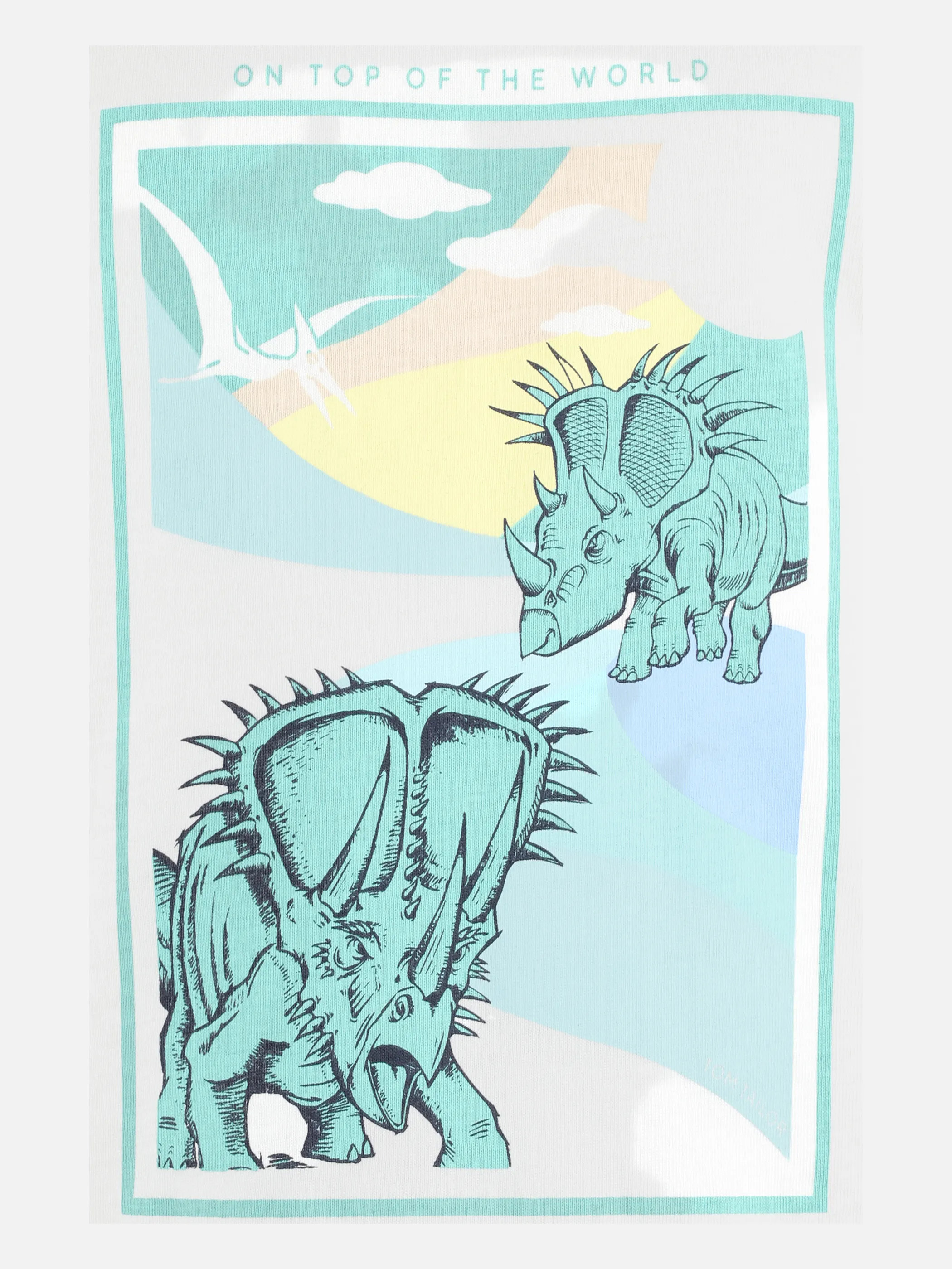 Jungen Longsleeve mit Dinoprint