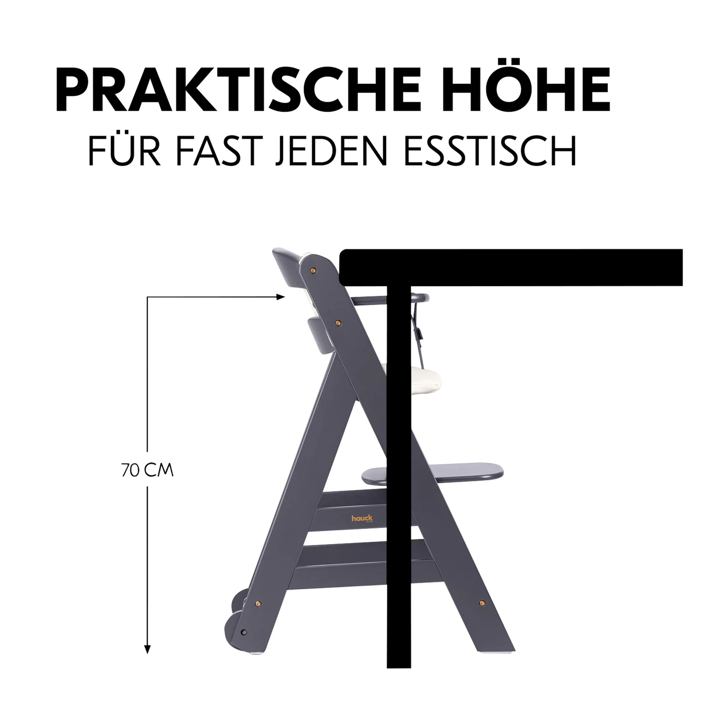 Hauck Hochstuhl Beta+ Dark Grey
