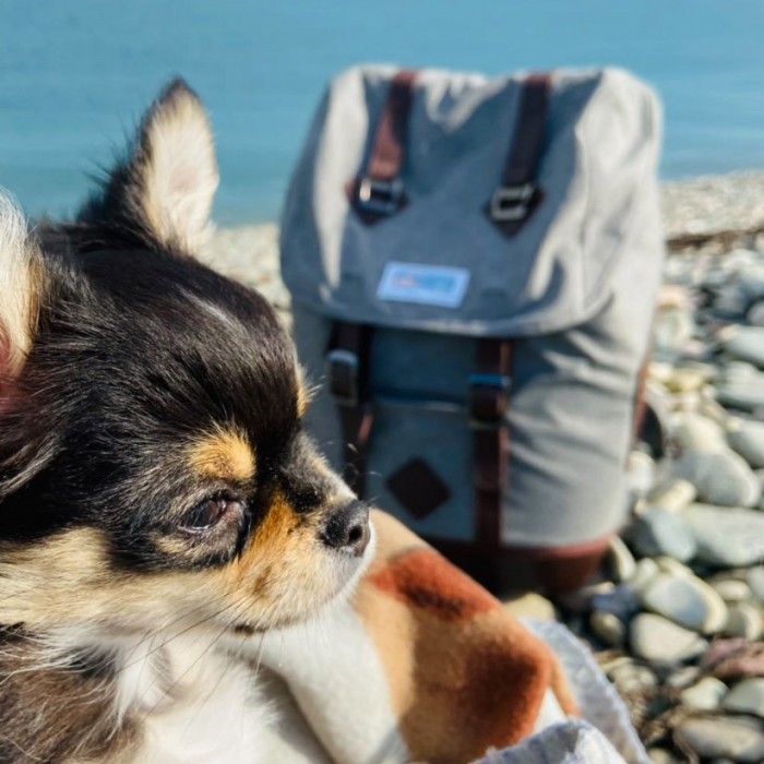 Sac à dos K9 Rucksack