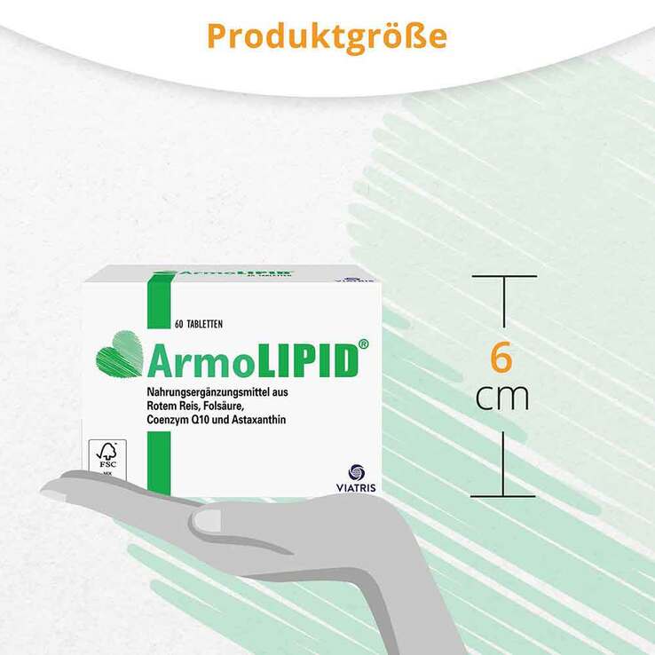 Armolipid Tabletten, 60 St
