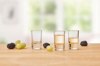 montana Schnapsglas BASIC 3er Set Glas