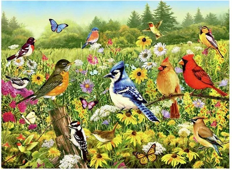 Ravensburger - Vogelwiese - Puzzel - 500 Stukken - 49,30 x 36,20 cm