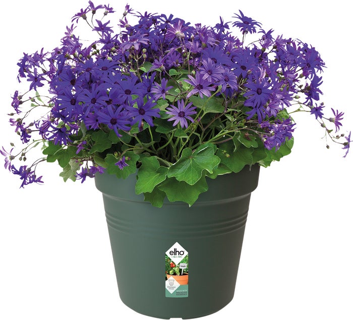 Elho kweekpot Green Basics groen D 11 H 10,2 cm