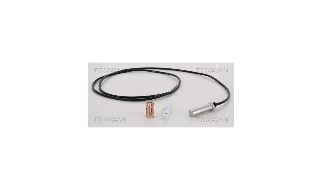 ABS sensor