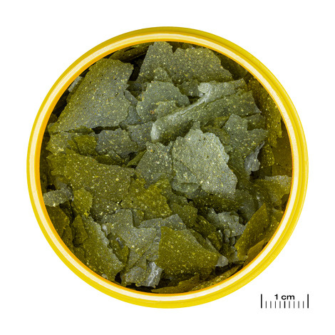 JBL Pronovo Spirulina Flakes M 100ml | Aquariumvoer