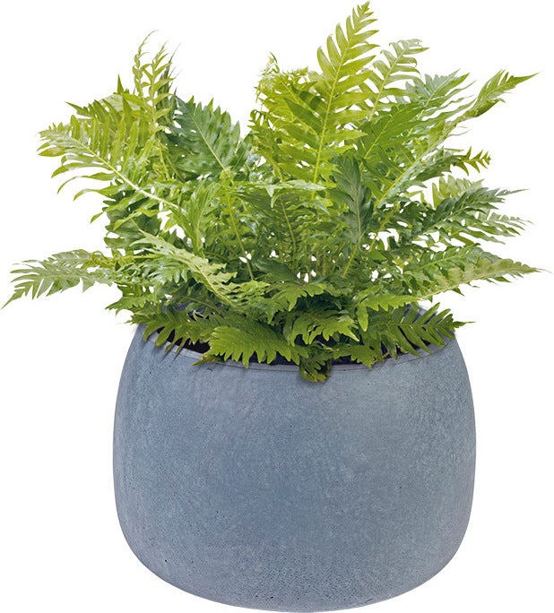 Pot Ingetogen D 32 H 22 cm lichtgrijs